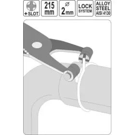 product-image-202151-card