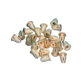 product-image-214649-card