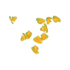 product-image-215126-card