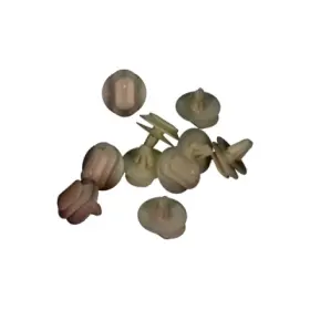 product-image-215648-card