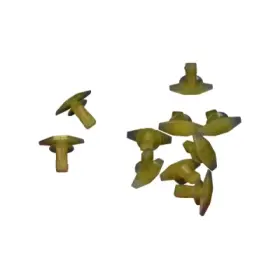 product-image-216017-card